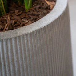 Patt High Ridged Planter - Cement 19 Patt High Ridged Planter - Cement -Hortology Plants Shop PattHighPlantVase RidgedCement 3