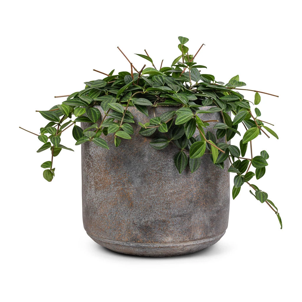 Saar Plant Pot - Earth Cement 10 Saar Plant Pot - Earth Cement - Image 8