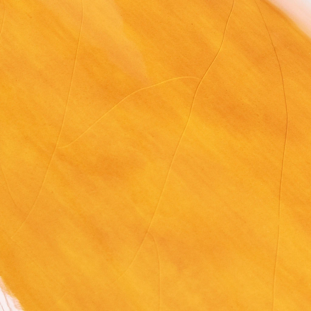 Pisa Plant Pot - Mustard 6 Pisa Plant Pot - Mustard - Image 4