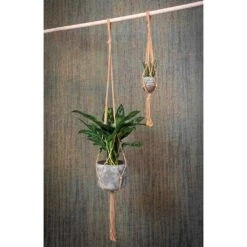 Hortology Plants Shop -Hortology Plants Shop Plant Pot Knotted Hanging Rope Houseplants b8c92c4a 569c 45c3 a1c7 9dce43929c01