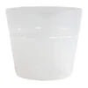 Plant Pot Liner 10cm -Hortology Plants Shop Plant Pot Liner 10cm NK