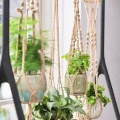 Plant Pot Macrame Hanger - Natural With Beads 8 Plant Pot Macrame Hanger - Natural With Beads -Hortology Plants Shop Plant Pot Macrame Hanger Natural with Beads LS1