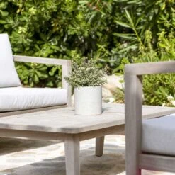 Puk Plant Pot - Grey Washed 12 Puk Plant Pot - Grey Washed -Hortology Plants Shop Puk Plant Pot Grey Washed Lifestyle