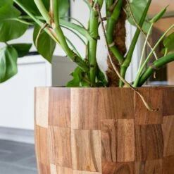 Quinn Planter - Natural 12 Quinn Planter - Natural -Hortology Plants Shop Quinn Natural 2