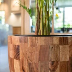 Quinn Planter - Natural 14 Quinn Planter - Natural -Hortology Plants Shop Quinn Natural 4