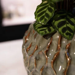 Rachel Plant Pot - Ocean 18 Rachel Plant Pot - Ocean -Hortology Plants Shop Rachel ocean 07