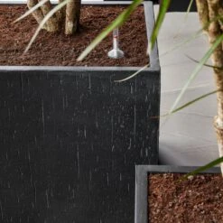 Raindrop Cube Planter - Anthracite 18 Raindrop Cube Planter - Anthracite -Hortology Plants Shop Raindrop Cube Anthracite 2
