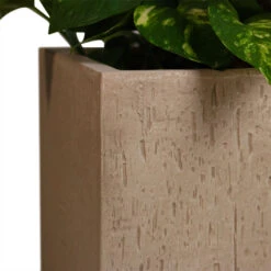 Raindrop Cube Planter - Stone 19 Raindrop Cube Planter - Stone -Hortology Plants Shop Raindrop Cube Planter Stone 30x30x27cm 2
