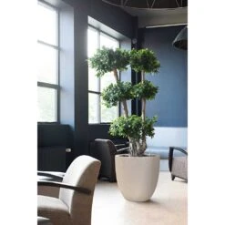 Raindrop Egg Planter - Stone -Hortology Plants Shop Raindrop Egg Planter Stone Indoor Plants