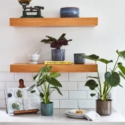 Remmi Glaze Plant Pot - Mocha 19 Remmi Glaze Plant Pot - Mocha -Hortology Plants Shop Remmi Glaze Plant Pot Grey 14 x 14cm 6914d736 148e 4de3 8def 092c4e4f5d75