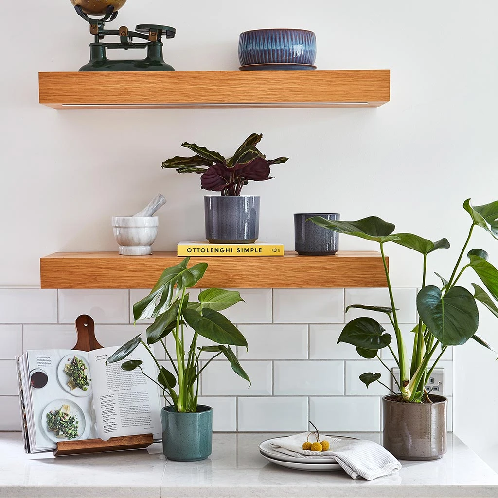 Remmi Glaze Plant Pot - Mocha 10 Remmi Glaze Plant Pot - Mocha - Image 8