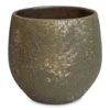 Rustic Plant Pot - Moss Green -Hortology Plants Shop Rustic Pot Moss Green 21x19cm