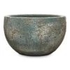 Sandora Bowl Planter - Green -Hortology Plants Shop Sandora Bowl Green 40x24cm