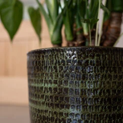 Sanna Plant Pot - Moss Green -Hortology Plants Shop Sanna Moss Green 2
