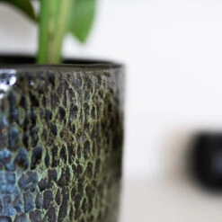 Sanna Plant Pot - Moss Green -Hortology Plants Shop Sanna Moss Green 5