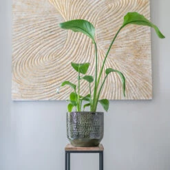 Sanna Plant Pot - Moss Green -Hortology Plants Shop Sanna Moss Green 7