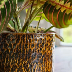 Sanna Plant Pot - Savanna -Hortology Plants Shop Sanna Savana 6