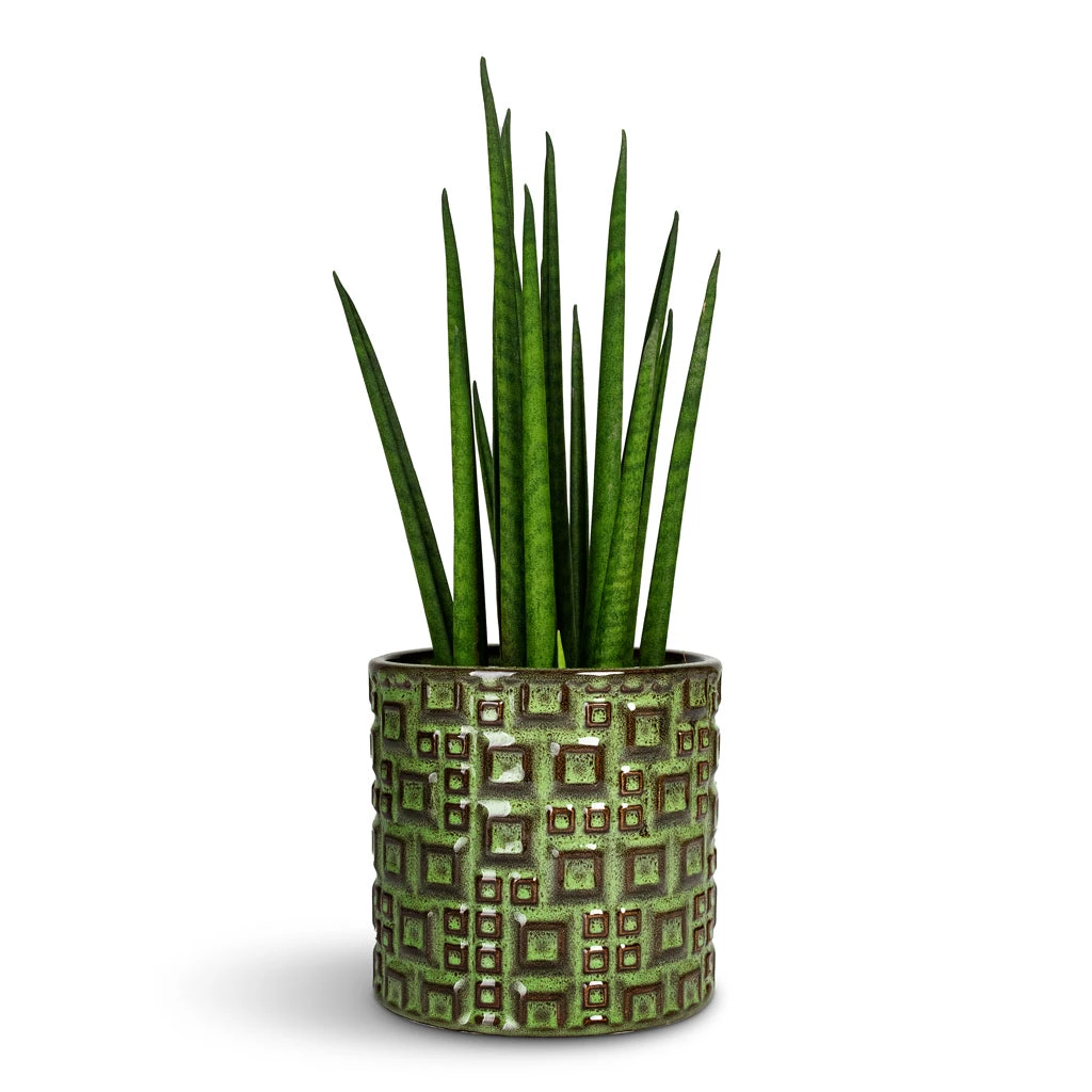 Fiene Plant Pot - Green 6 Fiene Plant Pot - Green - Image 4
