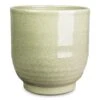 Sofia Plant Pot - Green 1 Sofia Plant Pot - Green -Hortology Plants Shop Sofia Pot Green 15.5x15.5cm