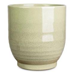 Sofia Plant Pot - Green -Hortology Plants Shop Sofia Pot Green 19x19cm