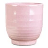 Sofia Plant Pot - Rose -Hortology Plants Shop Sofia Pot Rose 14x14cm