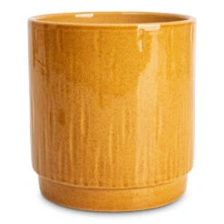 Stella Plant Pot - Mustard -Hortology Plants Shop Stella Pot Mustard 13x14cm