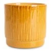 Stella Plant Pot - Mustard 2 Stella Plant Pot - Mustard -Hortology Plants Shop Stella Pot Mustard 16x14cm