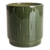 Stella Plant Pot - Sage 2 Stella Plant Pot - Sage -Hortology Plants Shop Stella Pot Sage 13x14cm