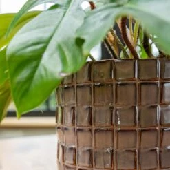 Stian Plant Pot - Lavender Candy -Hortology Plants Shop Stian Deep Lavender 3