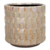 Stian Plant Pot - Soft Nougat 1 Stian Plant Pot - Soft Nougat -Hortology Plants Shop Stian Plant Pot Soft Nougat 13x12cm 2