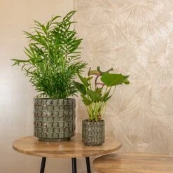 Stian Plant Pot - Moss Green -Hortology Plants Shop Stian moss green 02