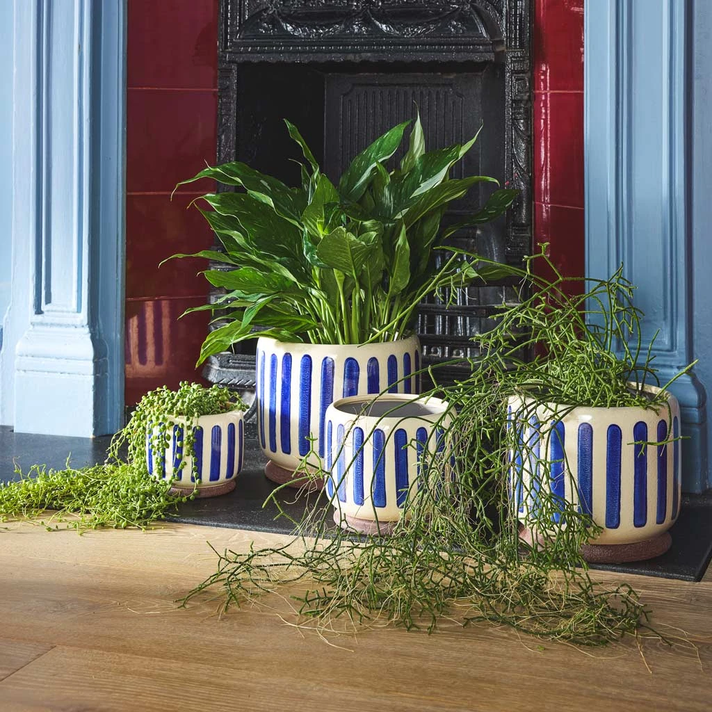 Stripe Plant Pot - Blue 4 Stripe Plant Pot - Blue - Image 2