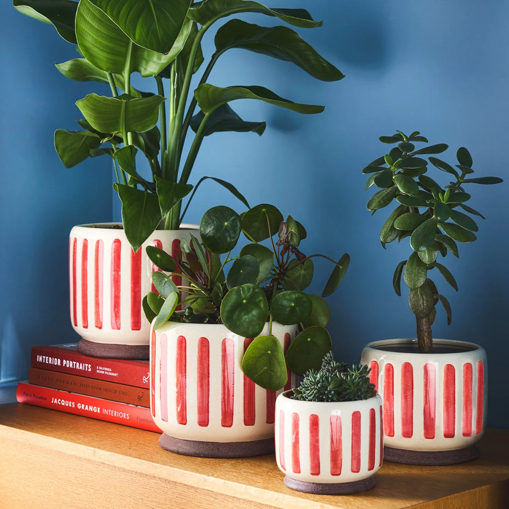Stripe Plant Pot - Red 4 Stripe Plant Pot - Red - Image 2