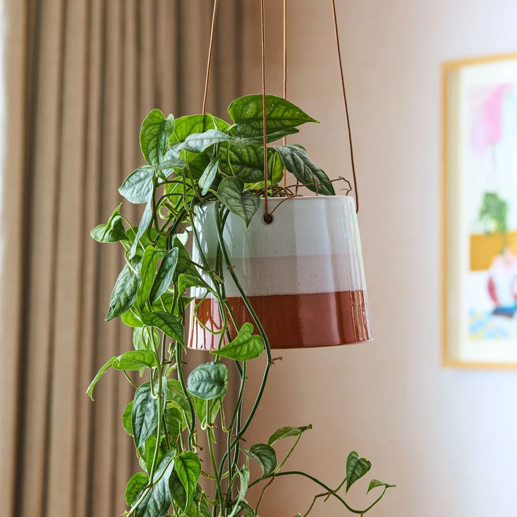 Striped Hanging Plant Pot - Terracotta Blush 7 Striped Hanging Plant Pot - Terracotta Blush - Image 5