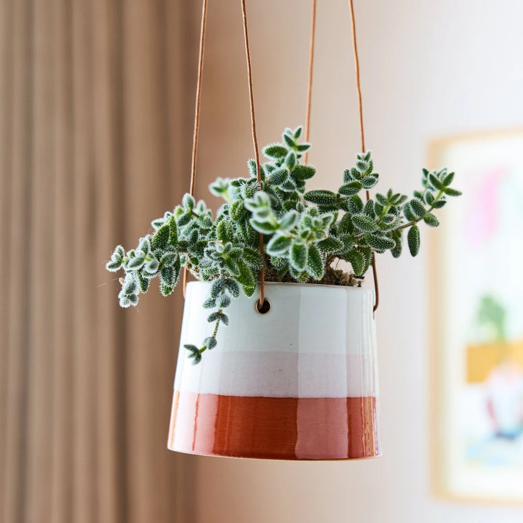 Striped Hanging Plant Pot - Terracotta Blush 4 Striped Hanging Plant Pot - Terracotta Blush - Image 2