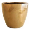 Sven Plant Pot - Gold 2 Sven Plant Pot - Gold -Hortology Plants Shop Sven Gold Hero