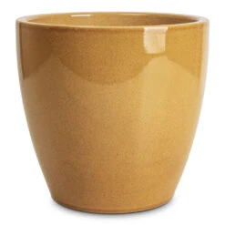 Sven Plant Pot - Mustard 15 Sven Plant Pot - Mustard -Hortology Plants Shop Sven Pot Mustard 16x13cm