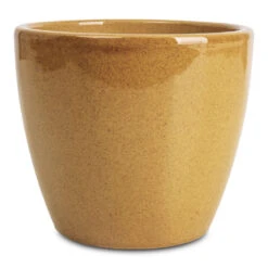 Sven Plant Pot - Mustard 13 Sven Plant Pot - Mustard -Hortology Plants Shop Sven Pot Mustard 20x19cm