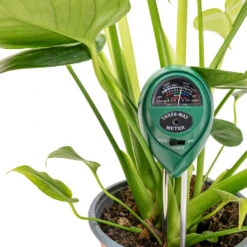 PH Moisture Light Meter - 3in1 -Hortology Plants Shop T3 in 1 pH Moisture Light Meter 4