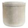 Vertical Rib Cylinder Planter - Beige 1 Vertical Rib Cylinder Planter - Beige -Hortology Plants Shop Vertical Rib Cylinder Planter Beige 23x24cm