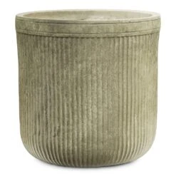 Vertical Rib Cylinder Planter - Green -Hortology Plants Shop Vertical Rib Cylinder Planter Green 30x31cm