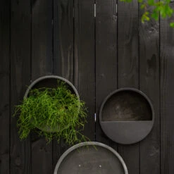 Wally Natural Wall Planter - Black 11 Wally Natural Wall Planter - Black -Hortology Plants Shop WallyNaturalWallPlanter Black 4