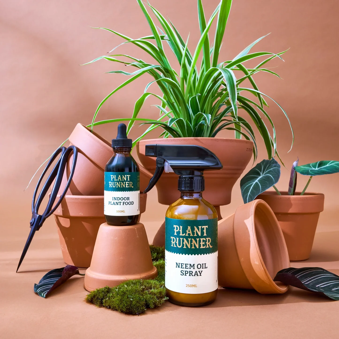 Hortology Plants Shop -Hortology Plants Shop