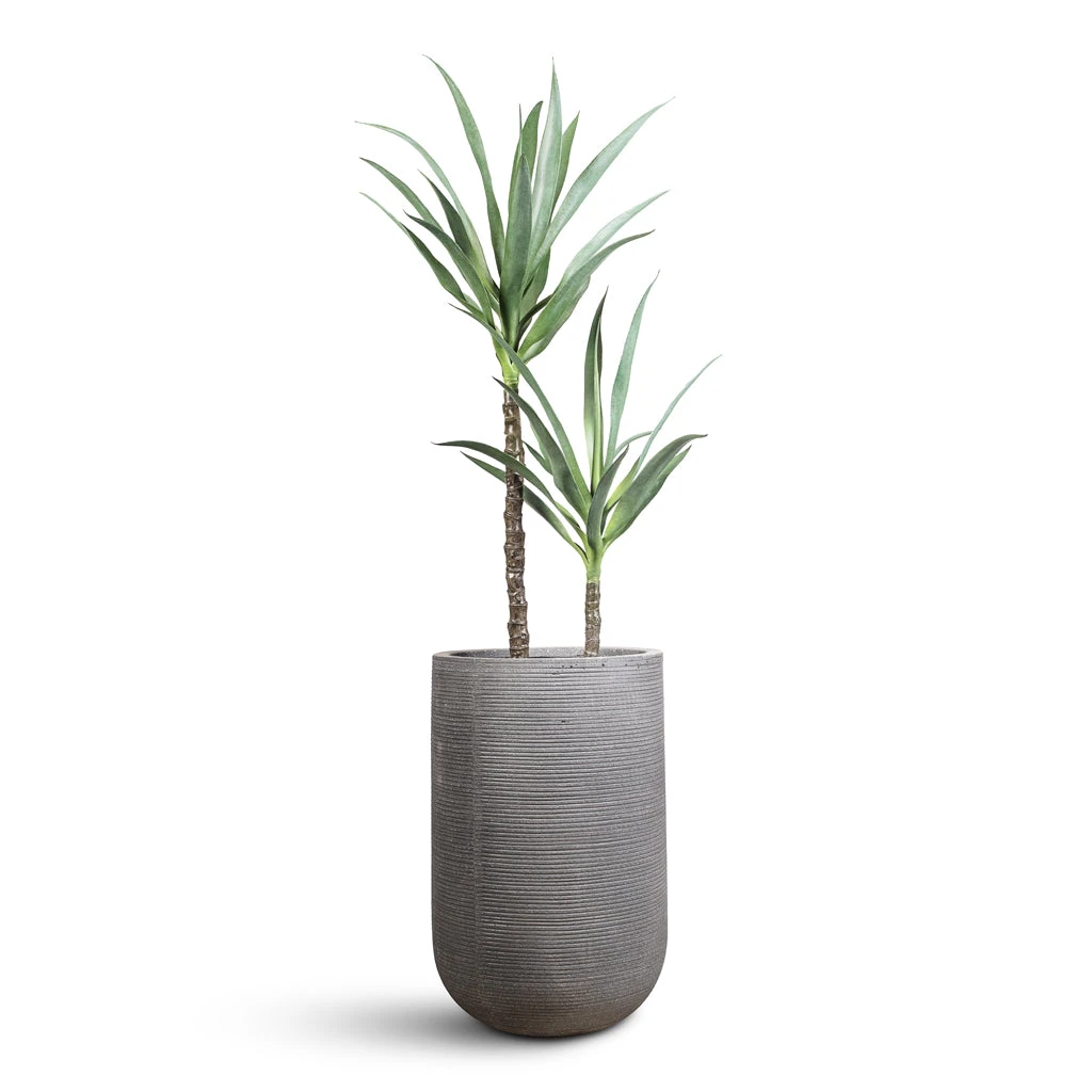 Cody Ridged Tall Planter - Dark Grey 5 Cody Ridged Tall Planter - Dark Grey - Image 3