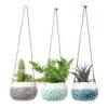 Baby Dotty Hanging Indoor Pot Trio 1 Baby Dotty Hanging Indoor Pot Trio -Hortology Plants Shop baby dotty hanging plant pots trio