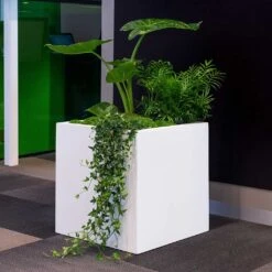 Block Essentials Planter - Matt White 17 Block Essentials Planter - Matt White -Hortology Plants Shop block planter essential matte white indoor plants
