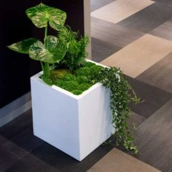 Block Essentials Planter - Matt White 15 Block Essentials Planter - Matt White -Hortology Plants Shop block planter essential matte white indoor plants cube