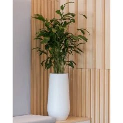 Nax Essentials Tall Planter - Matt White 11 Nax Essentials Tall Planter - Matt White -Hortology Plants Shop nax planter essential matte white office plants