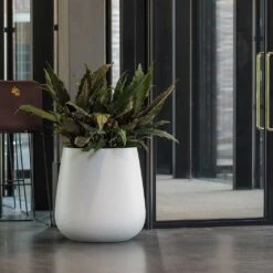 Pax Essentials Planter - Matt White 13 Pax Essentials Planter - Matt White -Hortology Plants Shop pax planter essential matte white office plants