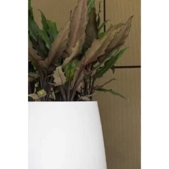 Pax Essentials Planter - Matt White 17 Pax Essentials Planter - Matt White -Hortology Plants Shop pax planters essential matte white clos up